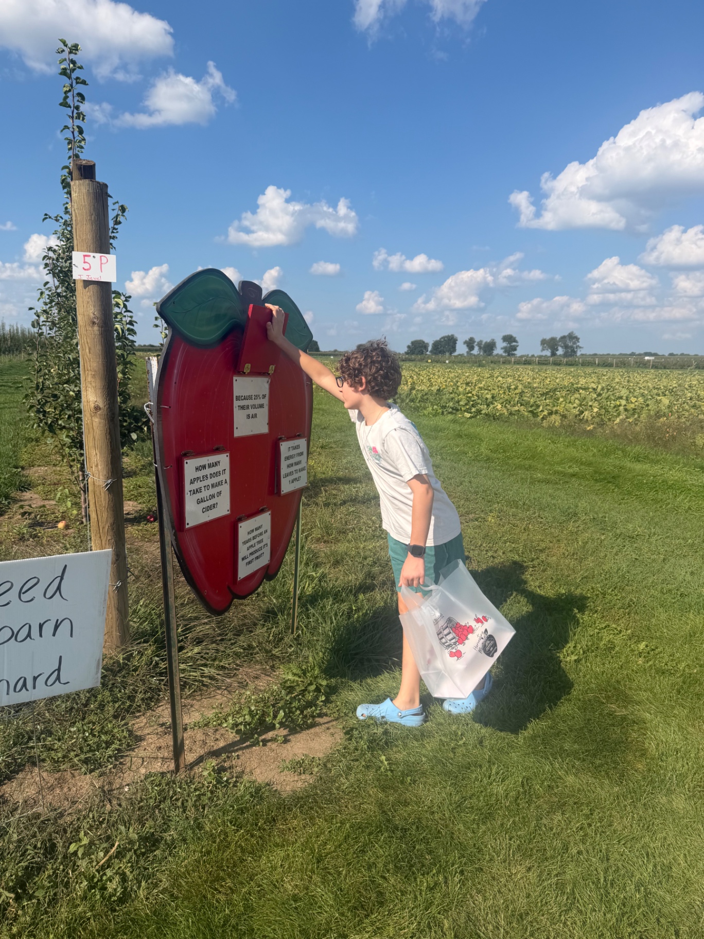 Toti's son exploring the apple orchard with his picking bag