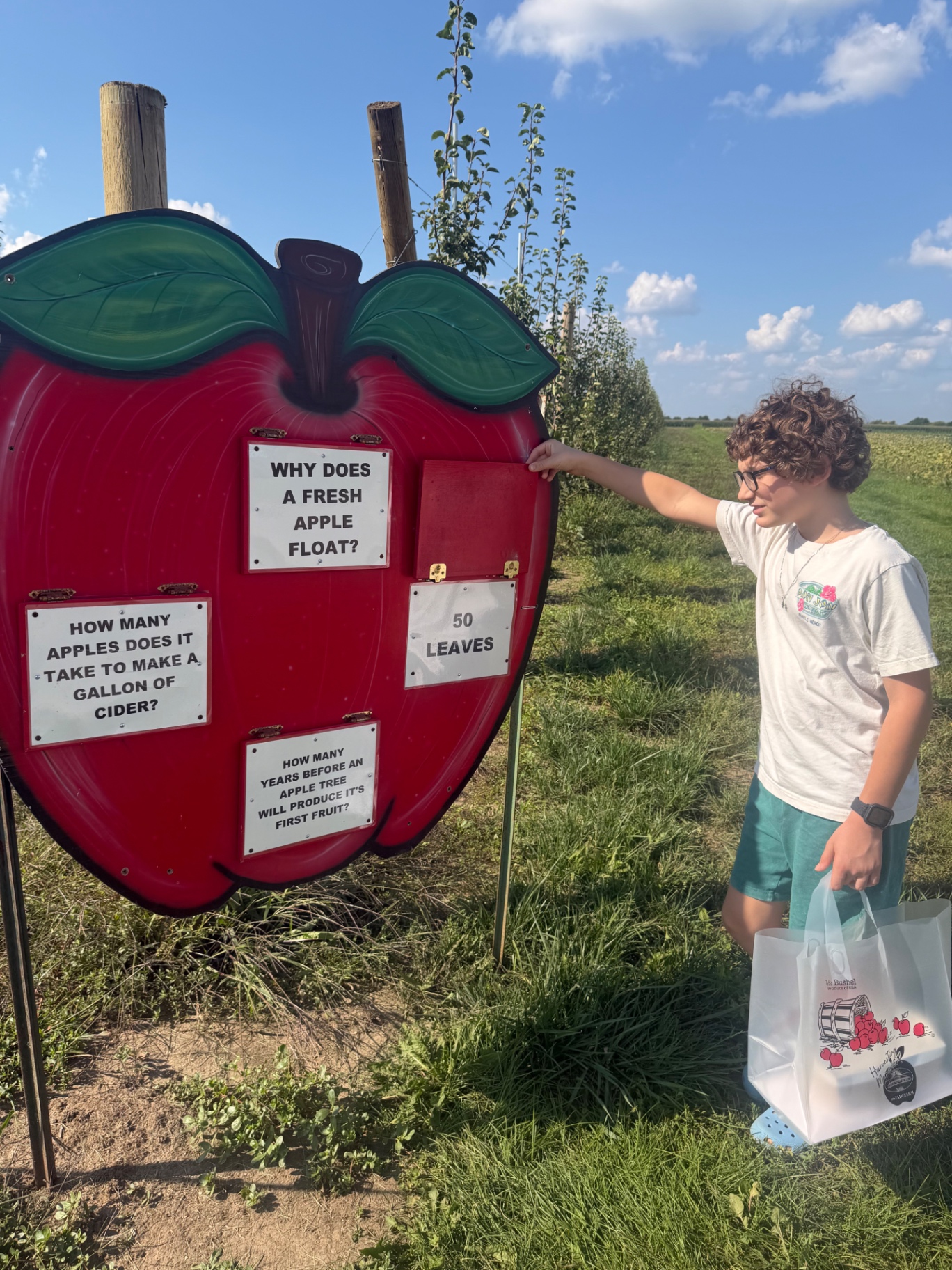 Toti's son reading the apple facts sign at the orchard